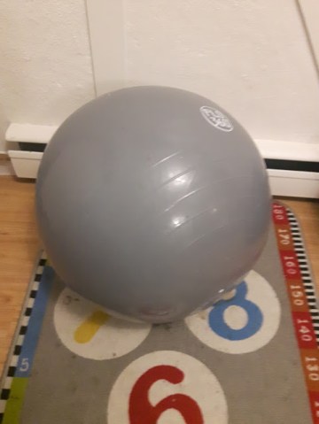 Excercise Ball