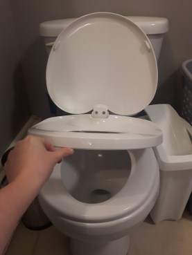 Toilet Seat